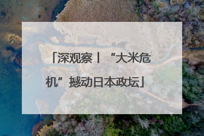 深观察丨“大米危机”撼动日本政坛