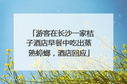 游客在长沙一家桔子酒店早餐中吃出蒸熟蟑螂，酒店回应