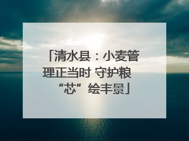 清水县：小麦管理正当时 守护粮“芯”绘丰景