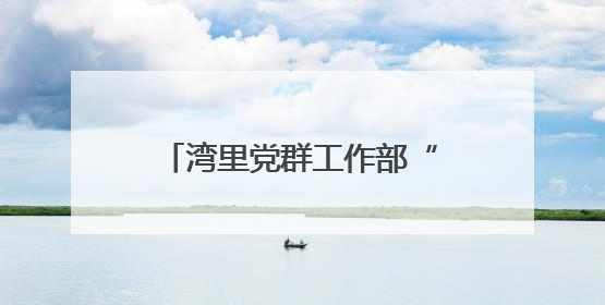 湾里党群工作部“大部制”改革：激活效能引擎，构建高效工作新格局