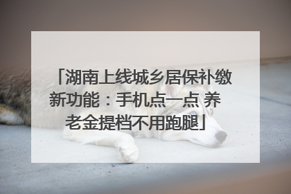 湖南上线城乡居保补缴新功能：手机点一点 养老金提档不用跑腿