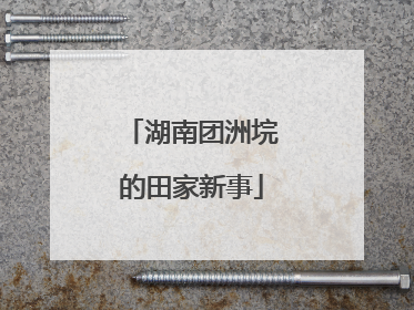 湖南团洲垸的田家新事
