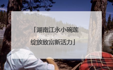 湖南江永小碗莲绽放致富新活力