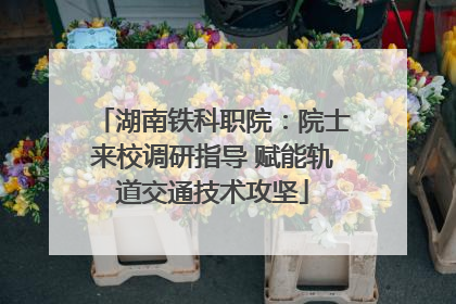 湖南铁科职院：院士来校调研指导 赋能轨道交通技术攻坚