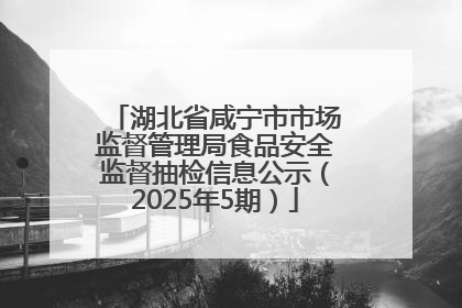 湖北省咸宁市市场监督管理局食品安全监督抽检信息公示（2025年5期）