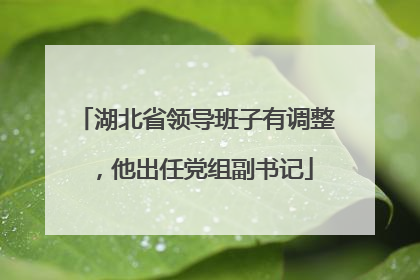 湖北省领导班子有调整，他出任党组副书记