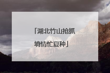湖北竹山抢抓墒情忙夏种