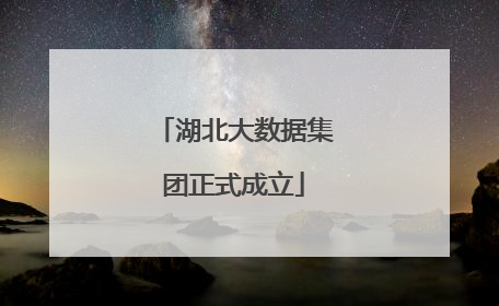 湖北大数据集团正式成立