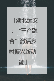 湖北远安：“三产融合”激活乡村振兴新动能