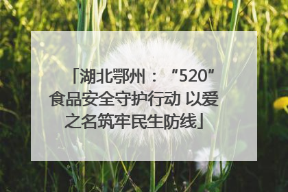 湖北鄂州：“520”食品安全守护行动 以爱之名筑牢民生防线