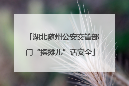 湖北随州公安交管部门“摆摊儿”话安全
