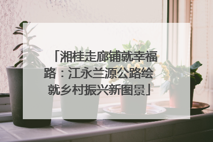 湘桂走廊铺就幸福路：江永兰源公路绘就乡村振兴新图景