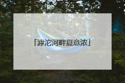 滹沱河畔夏意浓