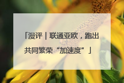 漫评｜联通亚欧，跑出共同繁荣“加速度”