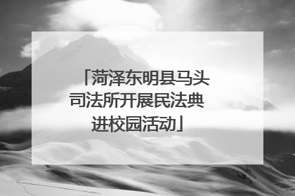 菏泽东明县马头司法所开展民法典进校园活动