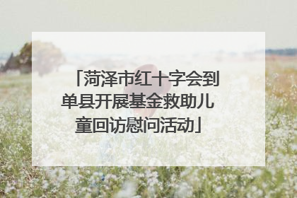 菏泽市红十字会到单县开展基金救助儿童回访慰问活动