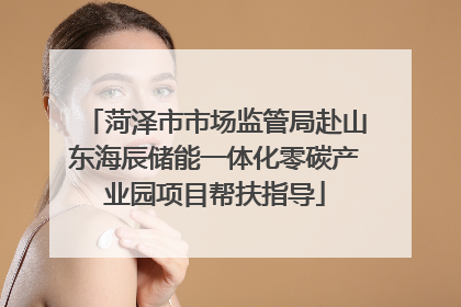 菏泽市市场监管局赴山东海辰储能一体化零碳产业园项目帮扶指导