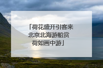 荷花盛开引客来 北京北海游船赏荷如画中游