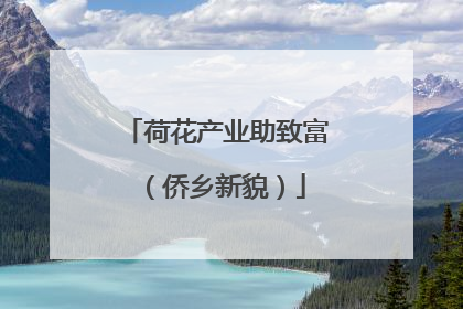 荷花产业助致富（侨乡新貌）