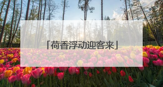 荷香浮动迎客来