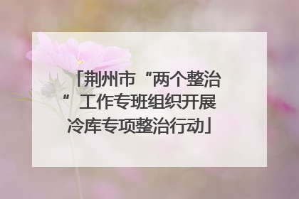 荆州市“两个整治”工作专班组织开展冷库专项整治行动