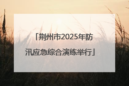 荆州市2025年防汛应急综合演练举行