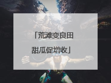 荒滩变良田 甜瓜促增收