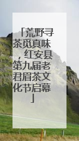 荒野寻茶觅真味，红安县第九届老君眉茶文化节启幕