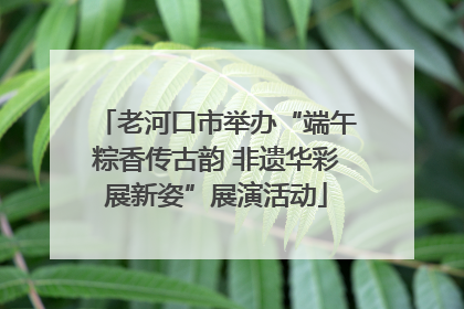 老河口市举办“端午粽香传古韵 非遗华彩展新姿”展演活动
