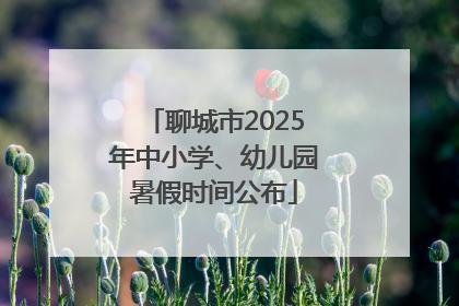 聊城市2025年中小学、幼儿园暑假时间公布