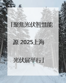 聚焦光伏智慧能源 2025上海光伏展举行