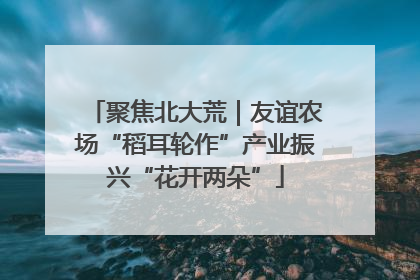 聚焦北大荒｜友谊农场“稻耳轮作”产业振兴“花开两朵”