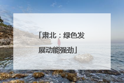 肃北：绿色发展动能强劲