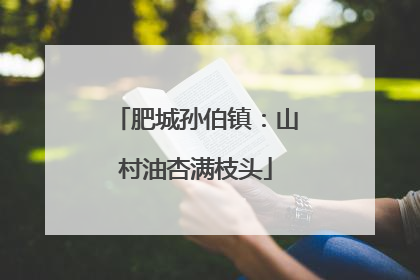肥城孙伯镇：山村油杏满枝头