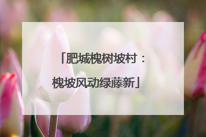 肥城槐树坡村：槐坡风动绿藤新