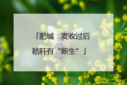 肥城：麦收过后秸秆有“新生”