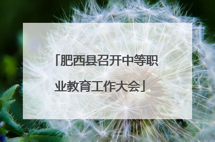 肥西县召开中等职业教育工作大会