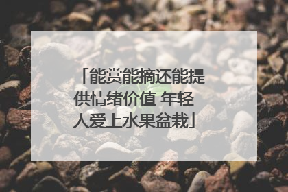 能赏能摘还能提供情绪价值 年轻人爱上水果盆栽