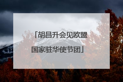 胡昌升会见欧盟国家驻华使节团