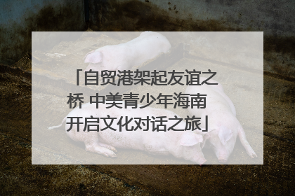自贸港架起友谊之桥 中美青少年海南开启文化对话之旅