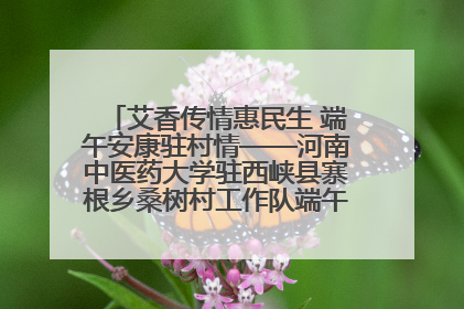 艾香传情惠民生 端午安康驻村情——河南中医药大学驻西峡县寨根乡桑树村工作队端午中医惠民记