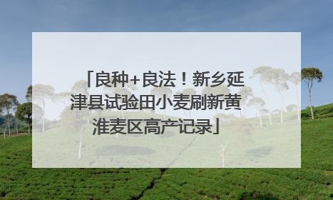 良种+良法！新乡延津县试验田小麦刷新黄淮麦区高产记录