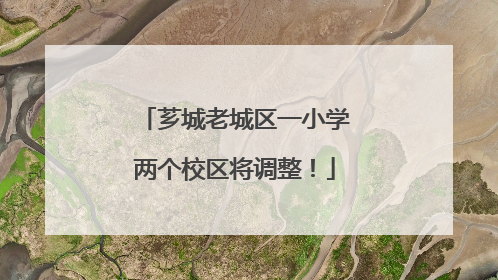 芗城老城区一小学两个校区将调整！