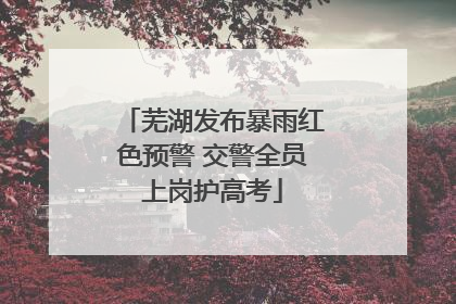 芜湖发布暴雨红色预警 交警全员上岗护高考