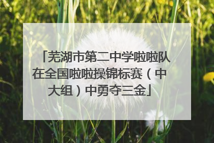芜湖市第二中学啦啦队在全国啦啦操锦标赛（中大组）中勇夺三金