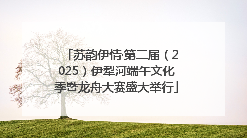 苏韵伊情·第二届（2025）伊犁河端午文化季暨龙舟大赛盛大举行