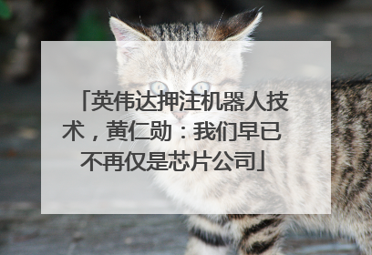 英伟达押注机器人技术，黄仁勋：我们早已不再仅是芯片公司