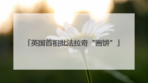 英国首相批法拉奇“画饼”