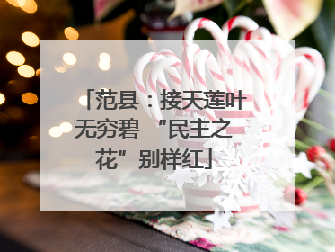 范县：接天莲叶无穷碧 “民主之花”别样红