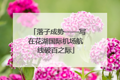 落子成势——写在花湖国际机场航线破百之际